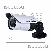 Видеокамера Tantos TSi-Pm231V (3-12)